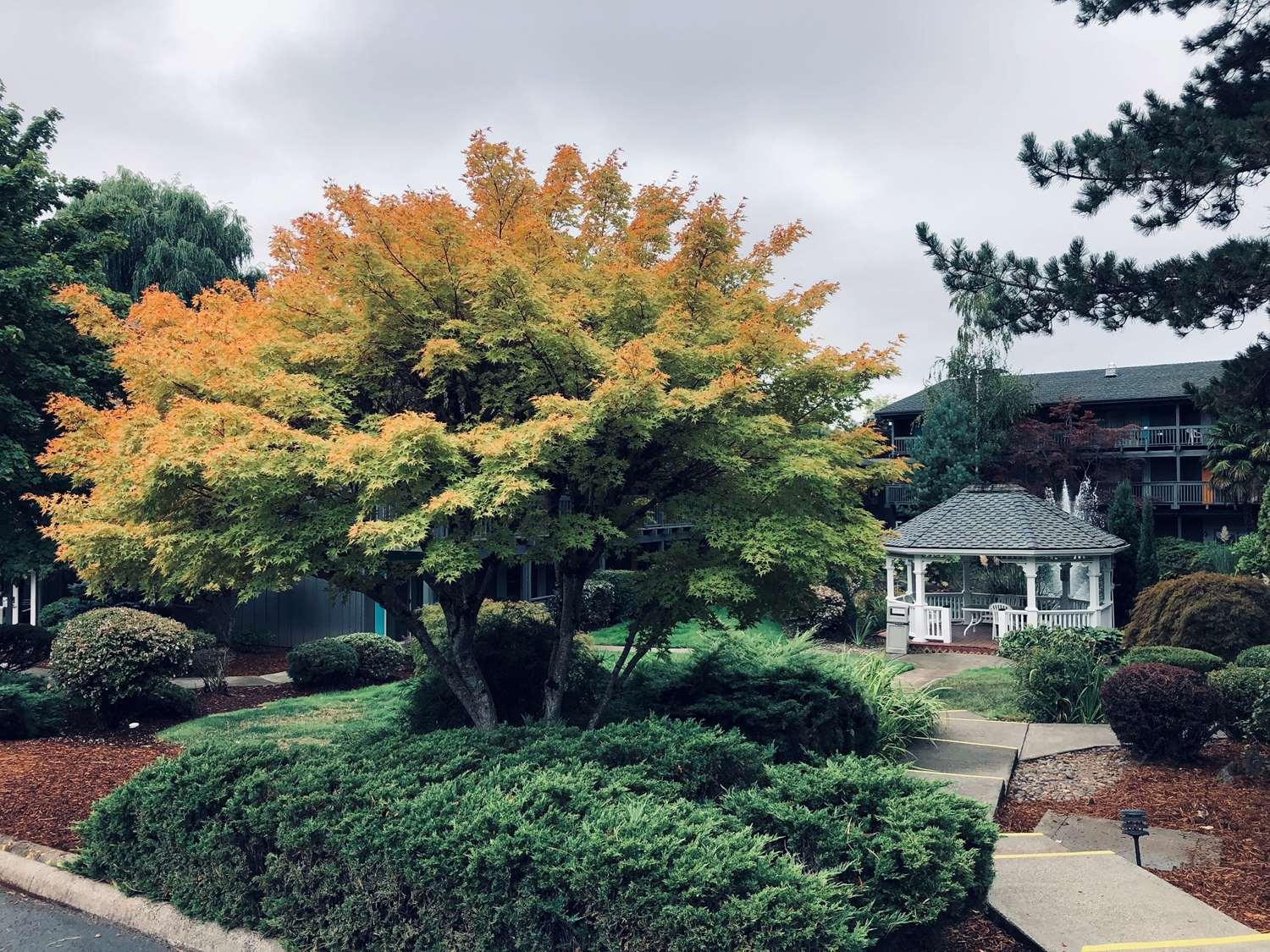 Best Western Portland West Beaverton Esterno foto