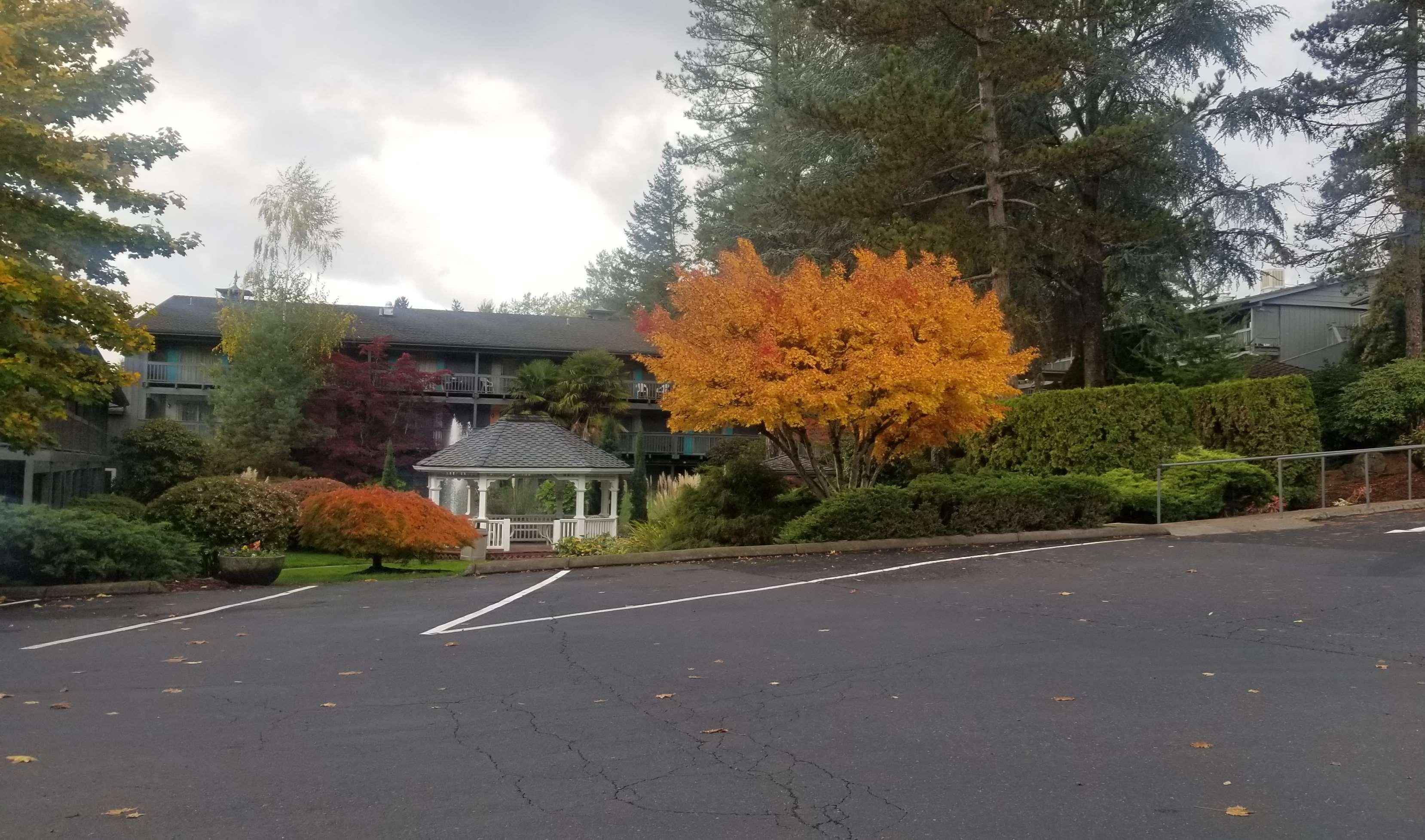 Best Western Portland West Beaverton Esterno foto