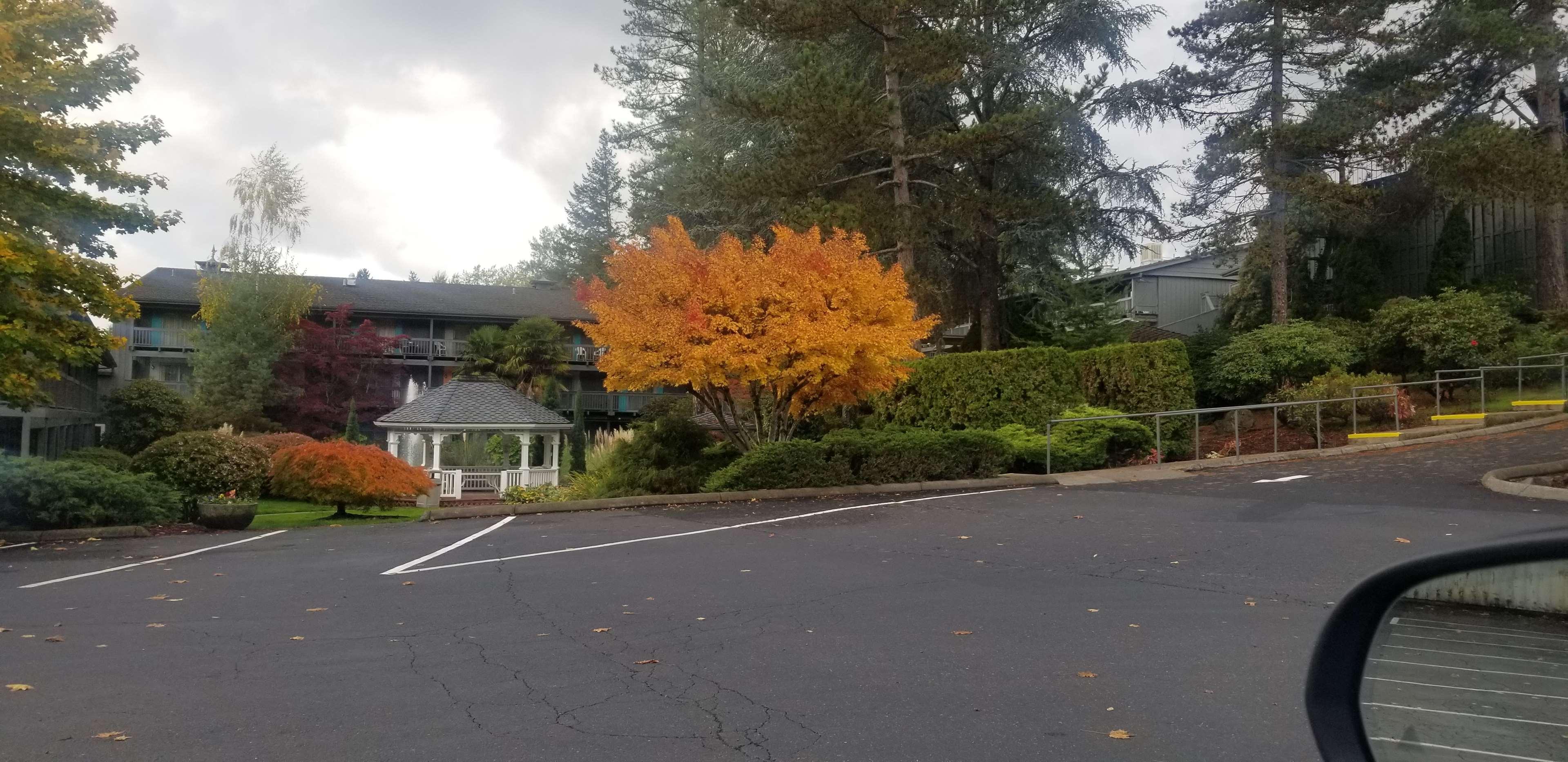 Best Western Portland West Beaverton Esterno foto